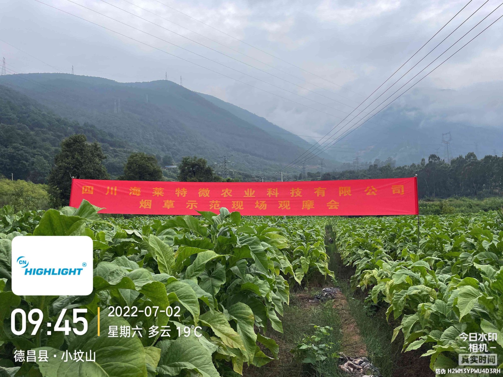 Tobacco Demonstration in Dechang